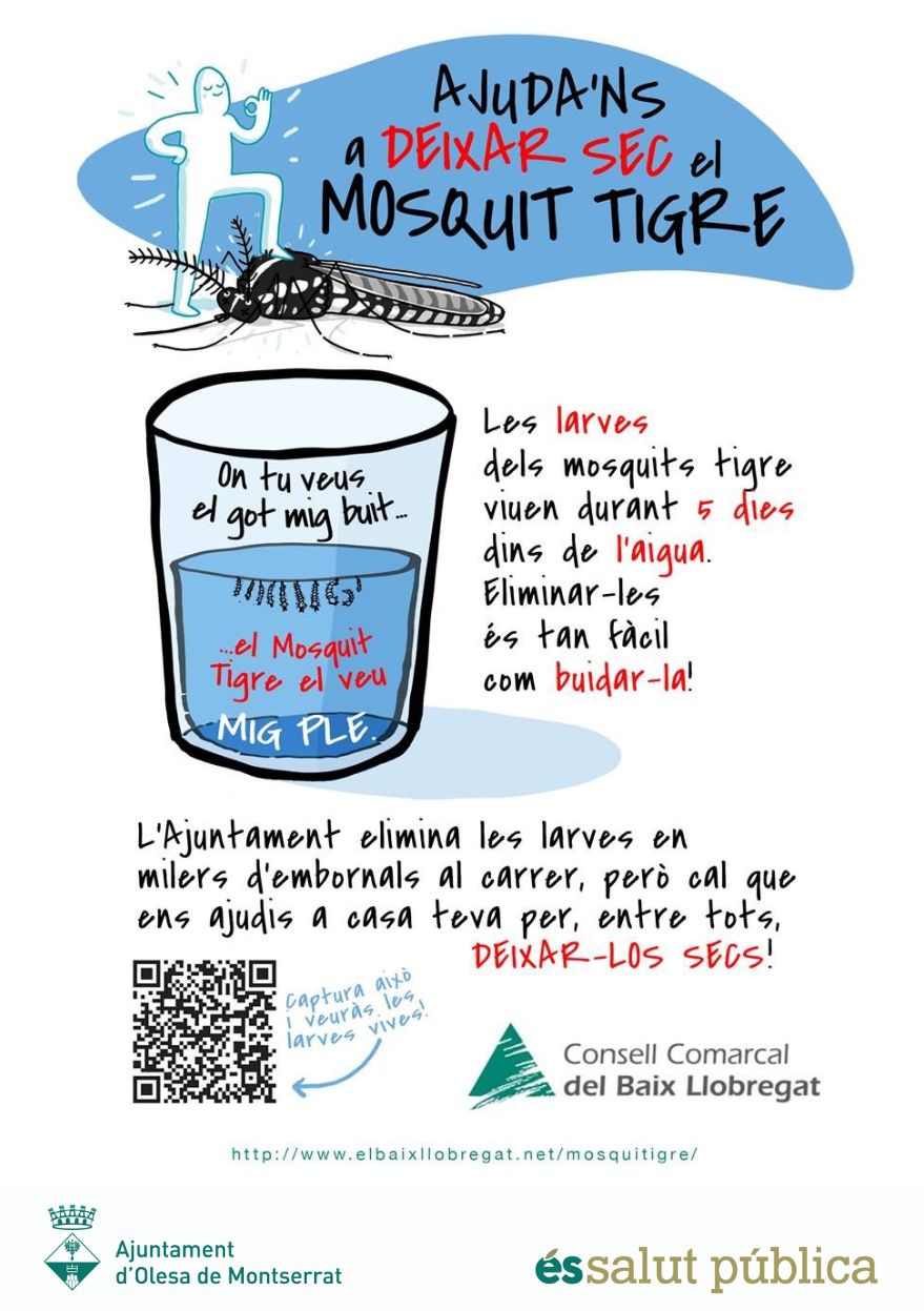 Cartell de la campanya contra el mosquit tigre 2024