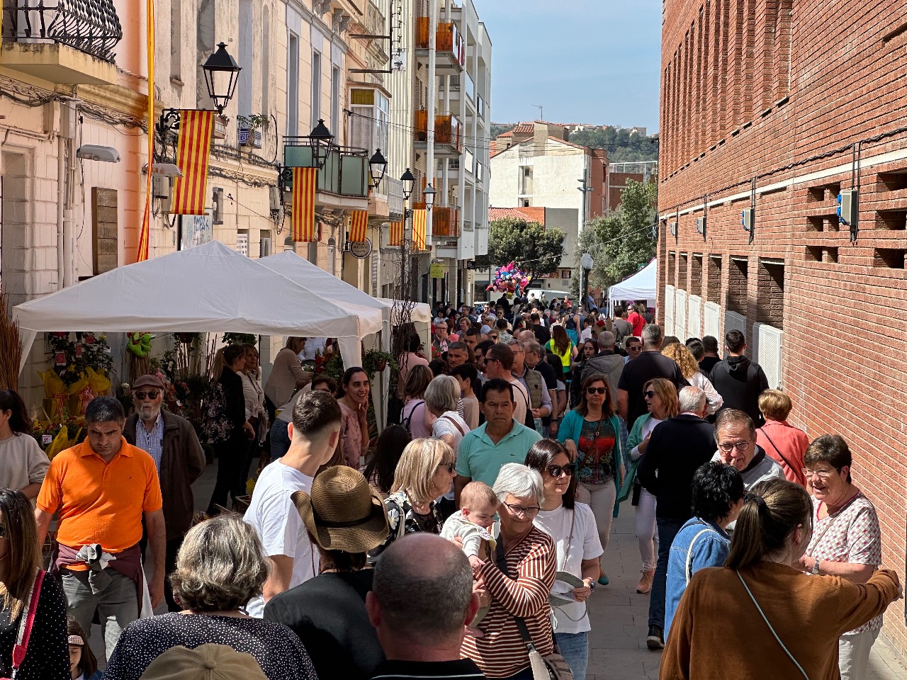 Diada de Sant Jordi 2023