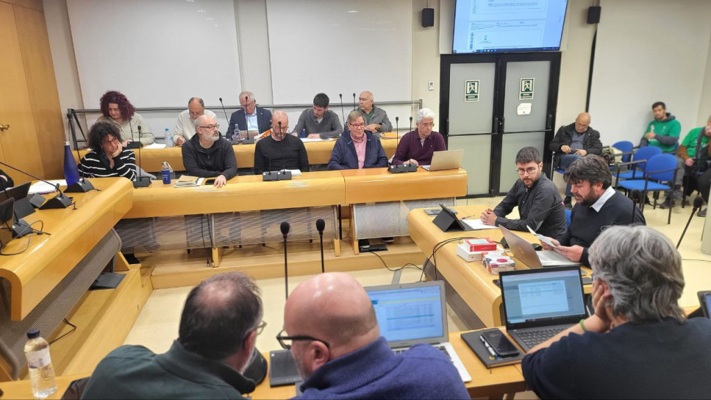 Ple de febrer de 2023