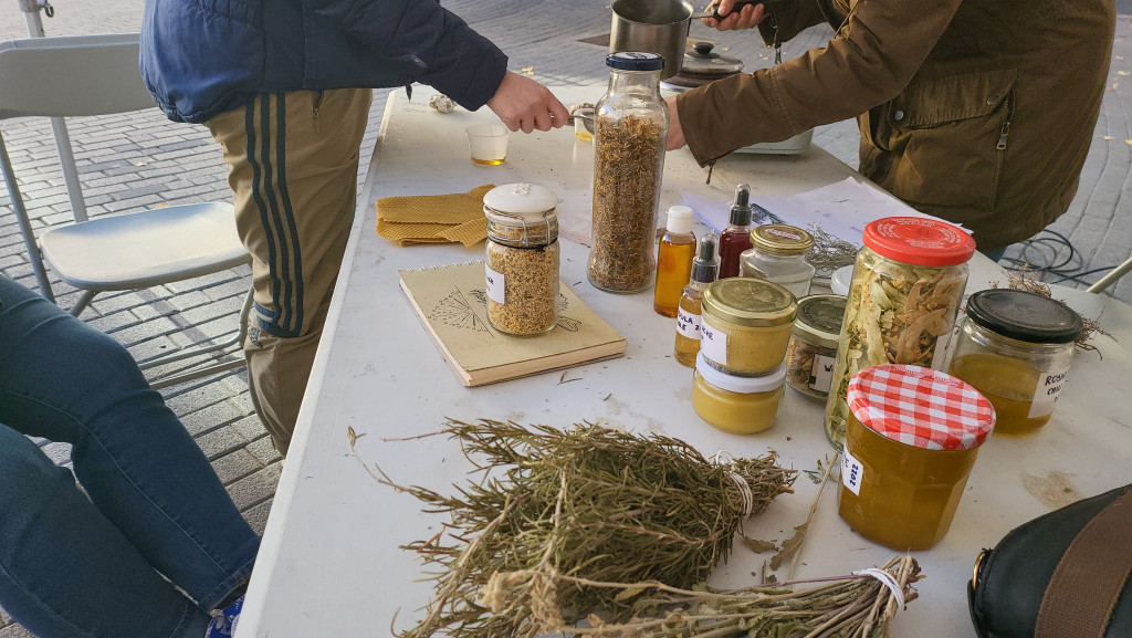 Taller de farmaciola natural amb herbes diferents i olis essencials per preparació de cremes.