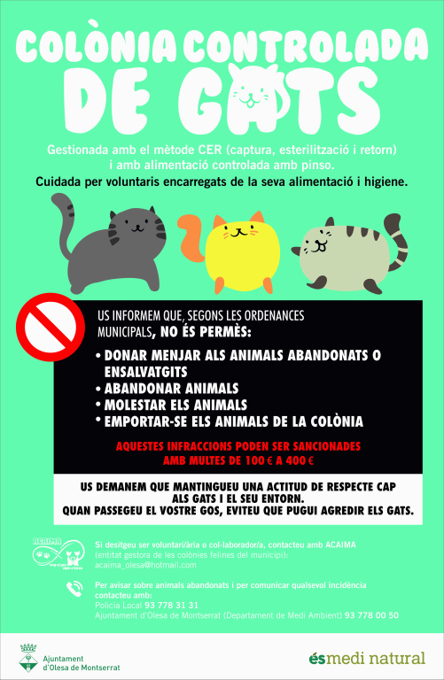 cartell dibuixat amb informació de les colònies de gats així como la normativa