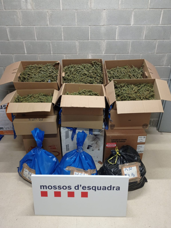 Caixes amb marihuana comissada a Olesa pels mossos d'esquadra