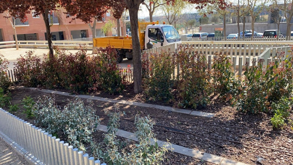 Actuacions als jardins del parc de l'Estatut