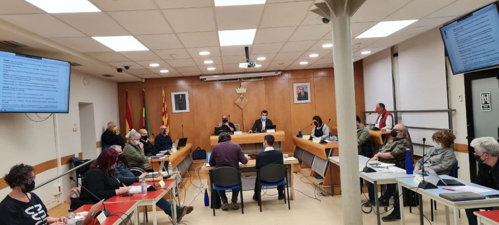 Assistents al ple municipal del 25 de març 