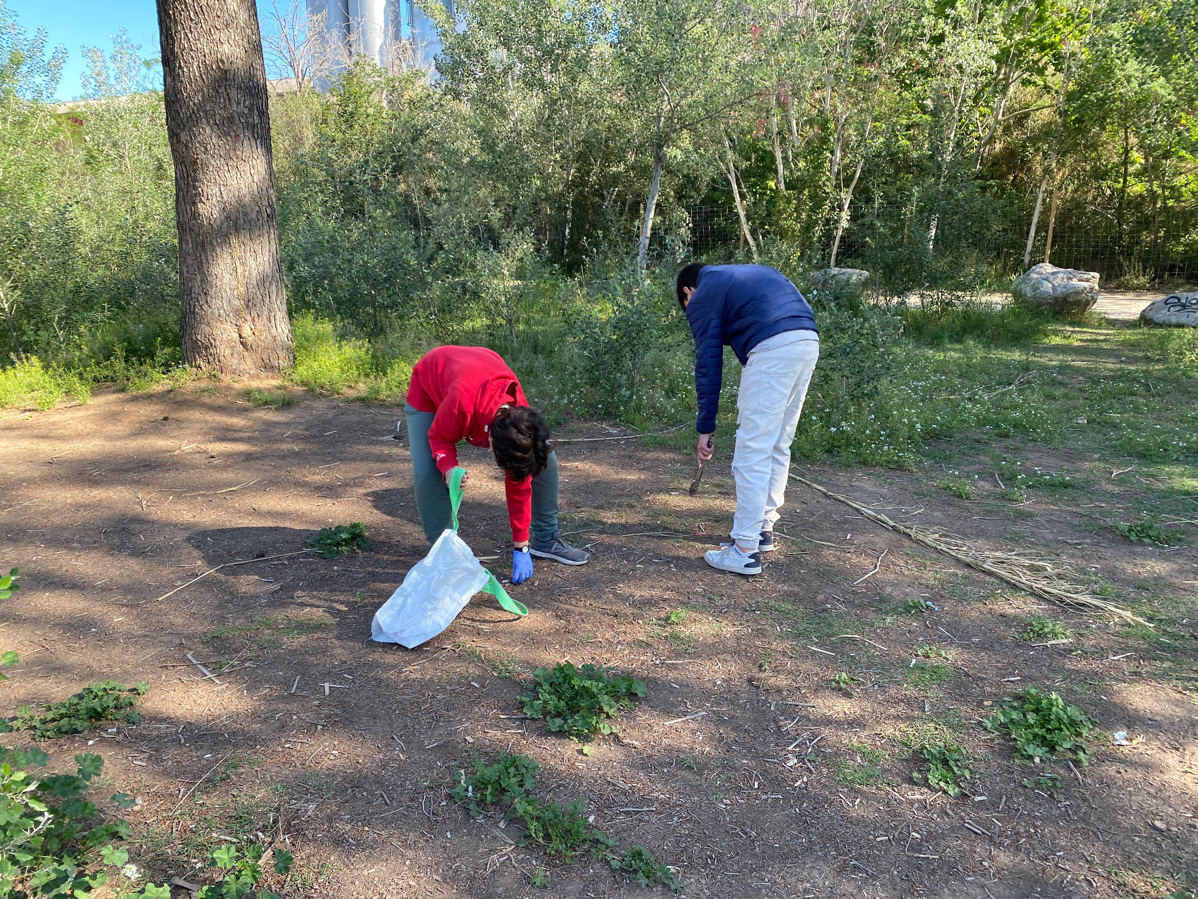 Fotografia d'alumnes recollint deixalles a l'Areny del Molí per la campanya Let's Clean Up Europe 2024