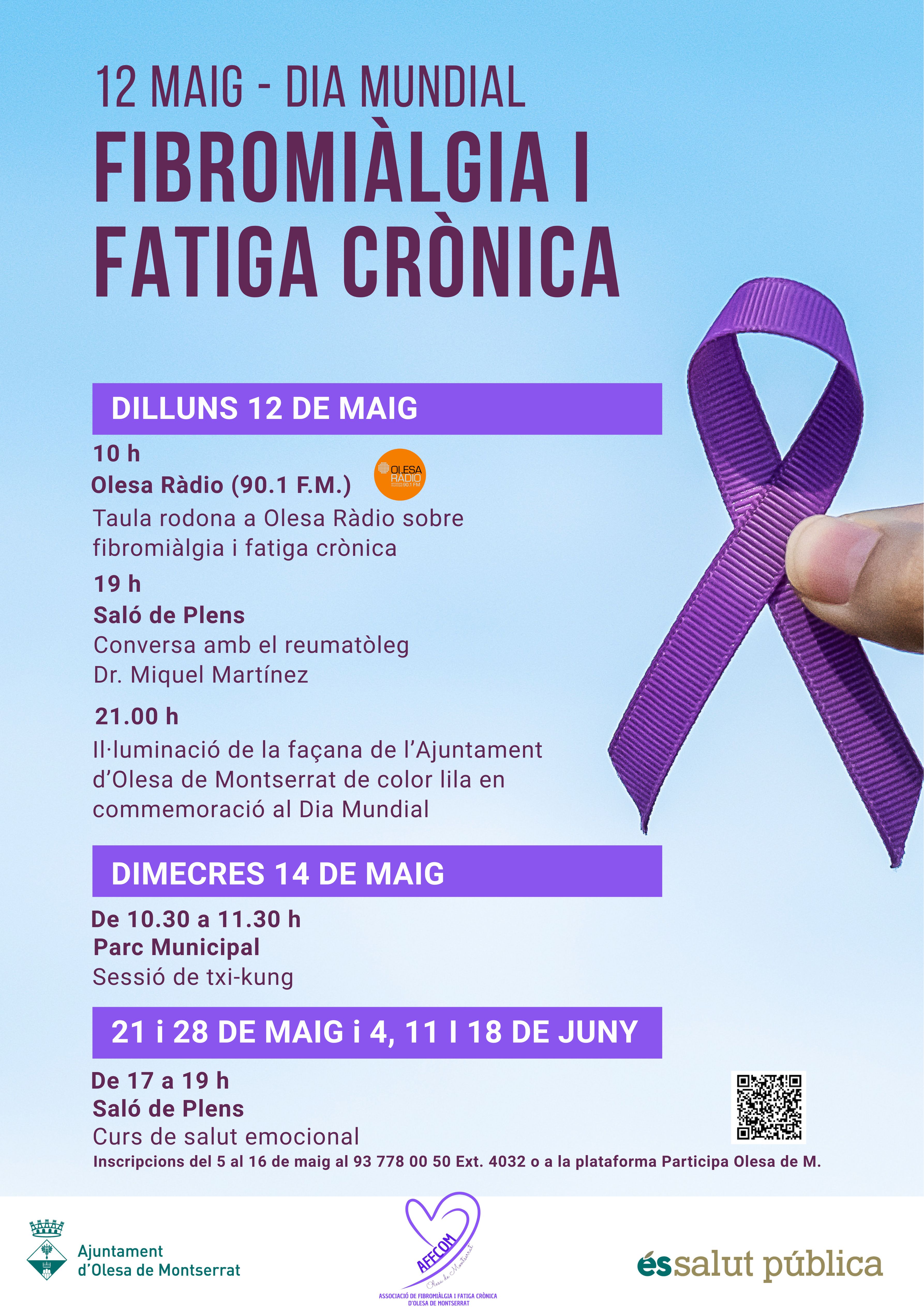 Cartell Dia Mundical de la Fibromiàlgia i la Fatiga Crònica 2025