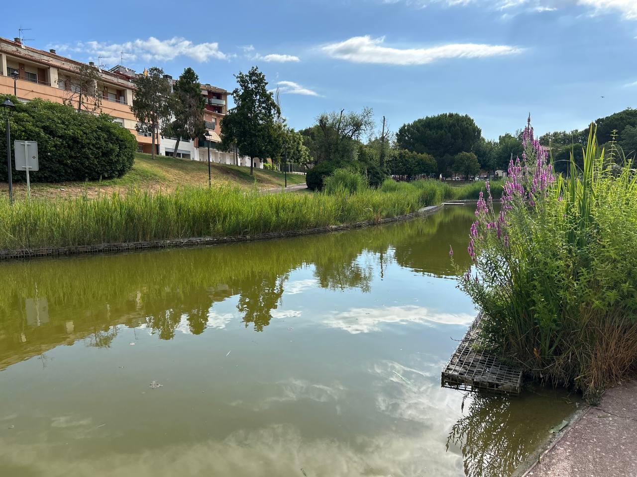 LLac del Parc Municipal