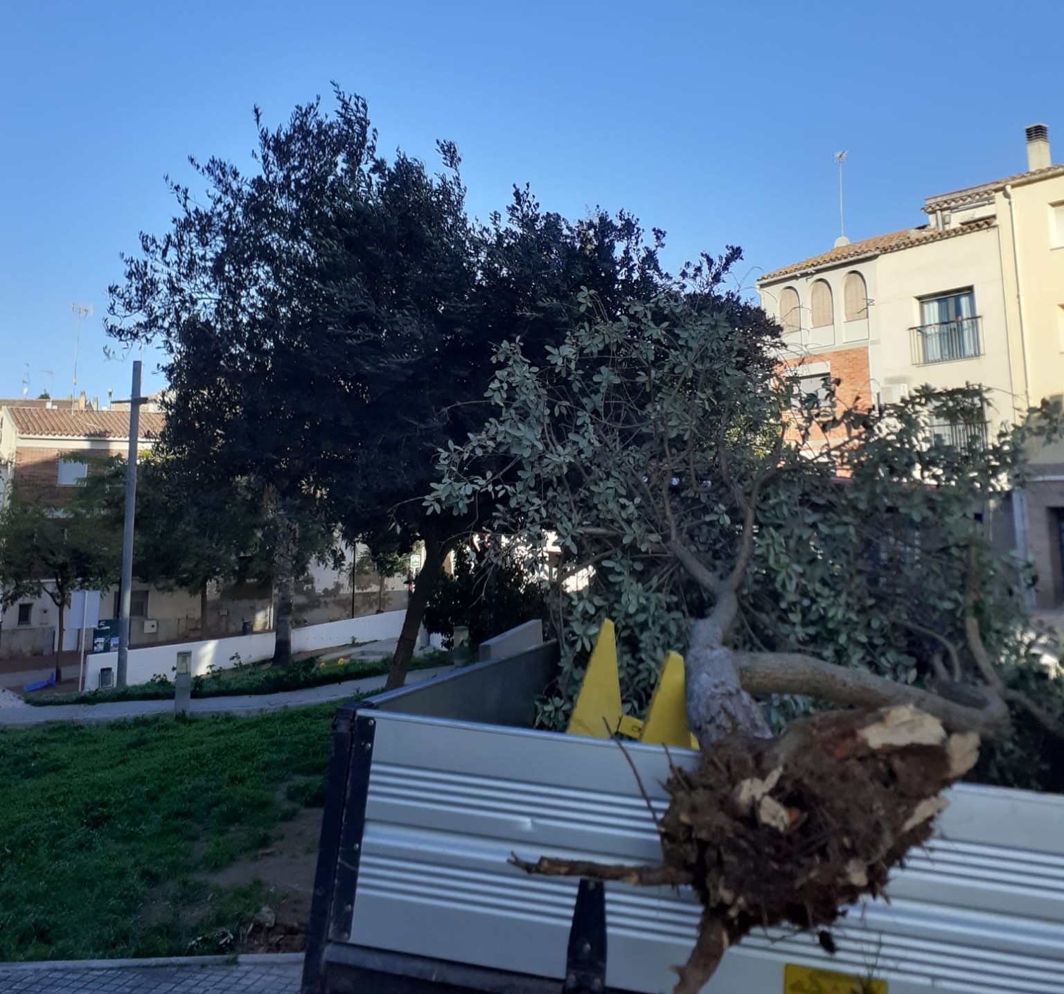 Efectes del temporal de vent