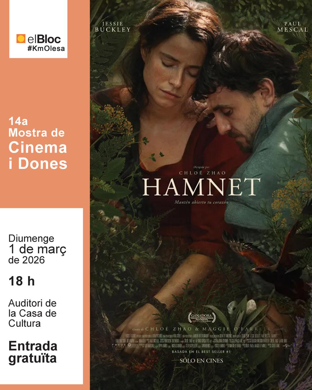 Cartell 14 Mostra de cinema i dones: Hamnet