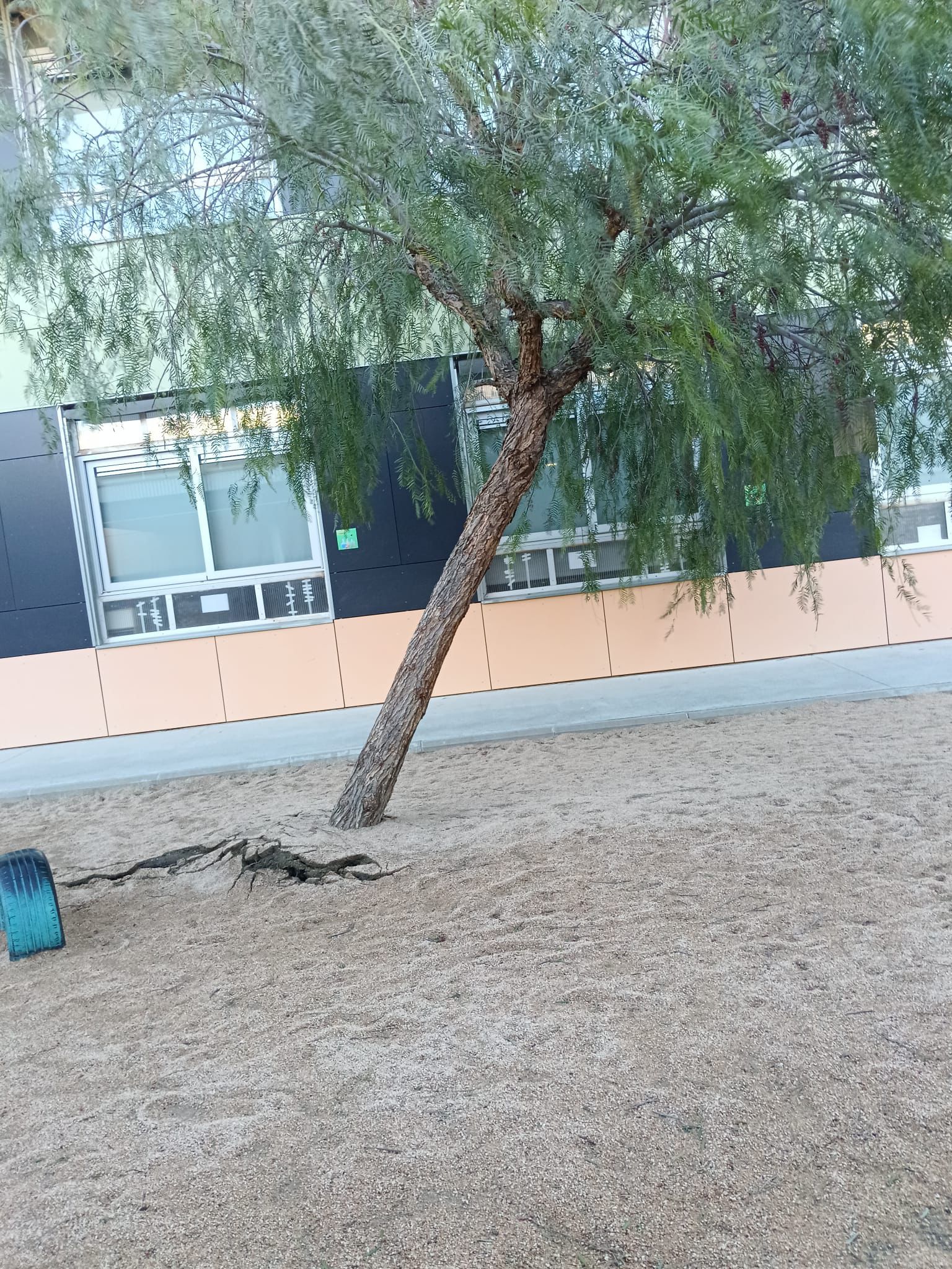 Afectacions pel temporal de vent