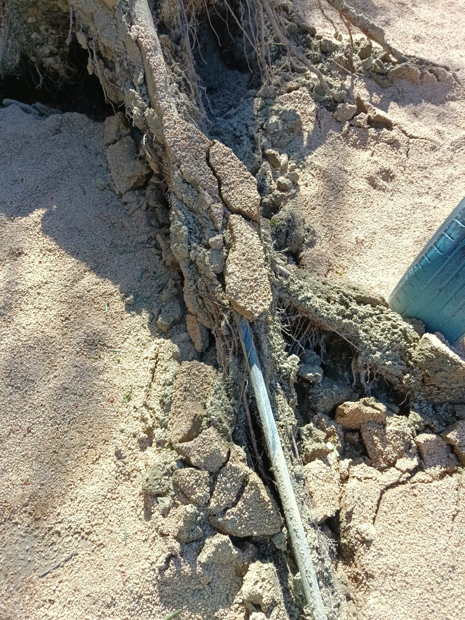 Afectacions pel temporal de vent