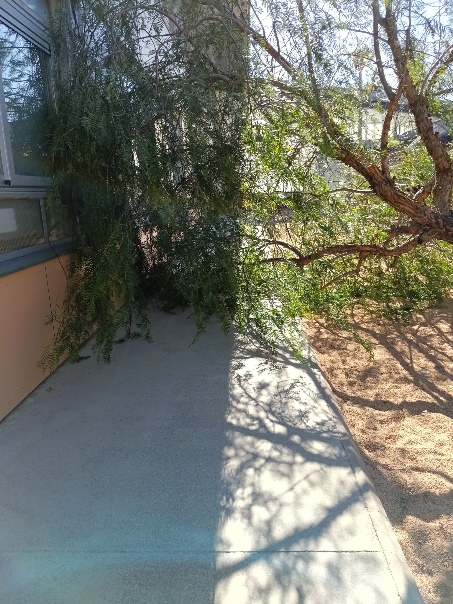 Afectacions pel temporal de vent