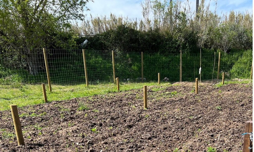 Foto_horts urbans municipals