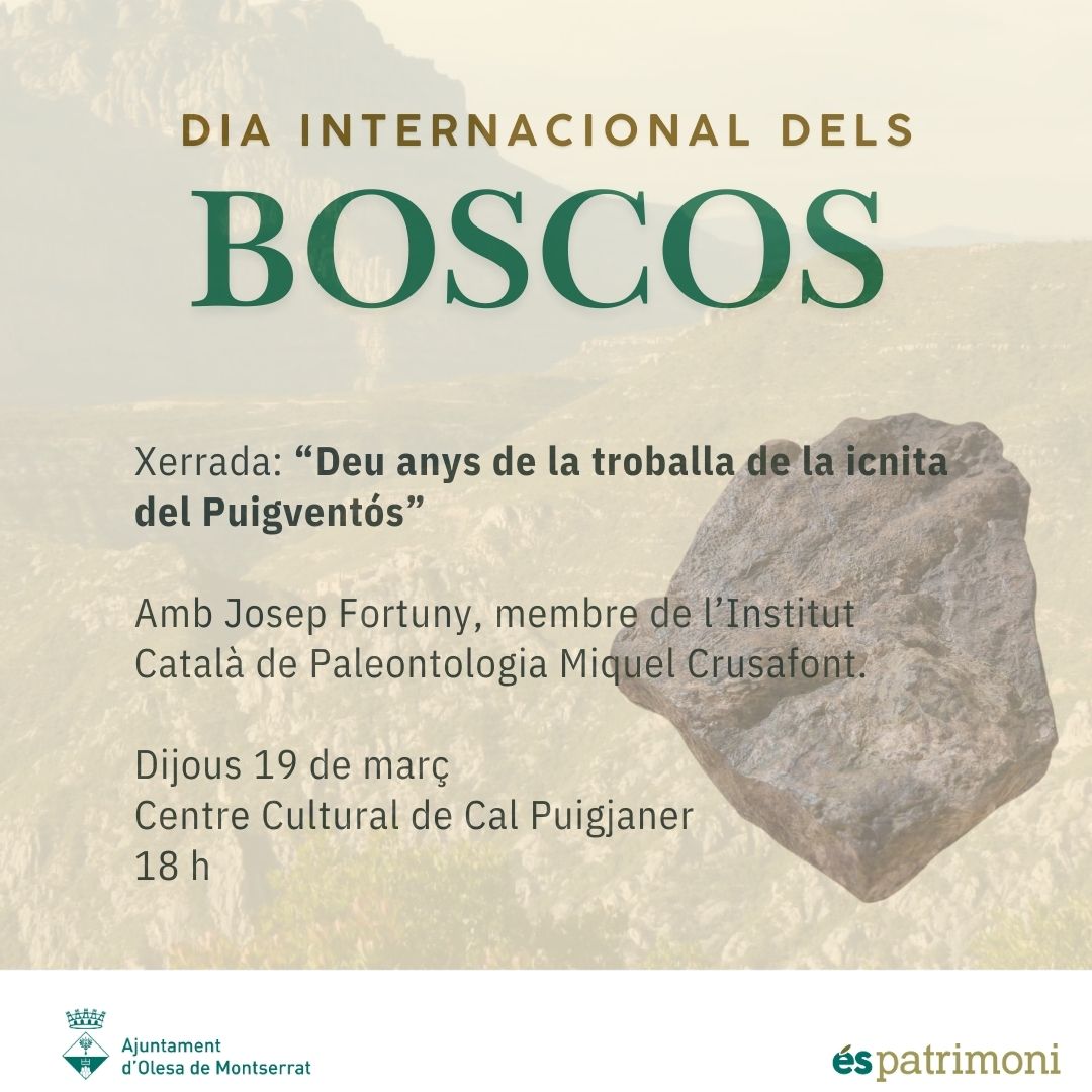 Cartell de la xerrada "Deu anys de la trobada de la icnita del Puigventós".