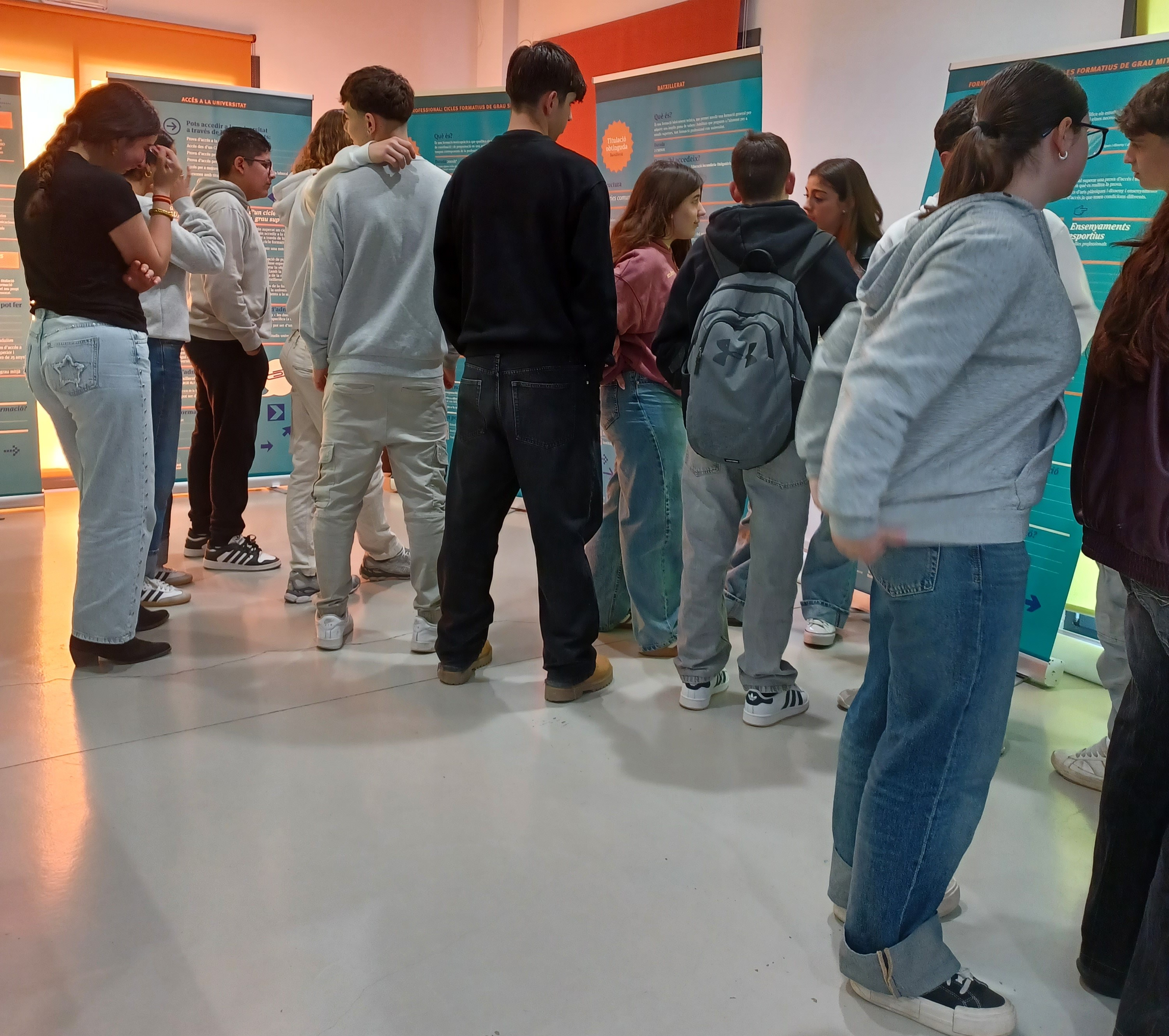 Exposició "I desprès de l'ESO... què?"