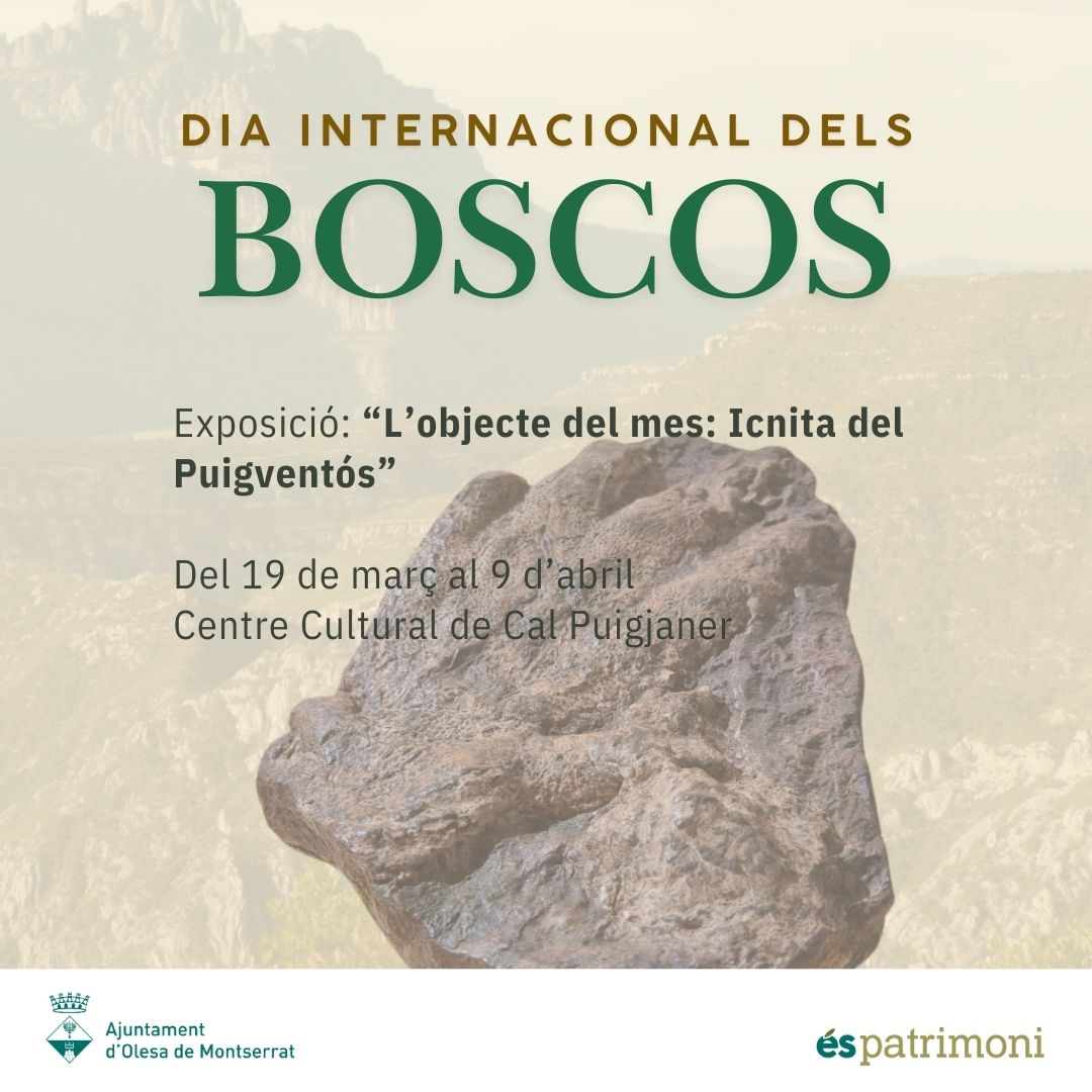 Cartell exposició "L'objecte del mes: Icnita del Puigventós"