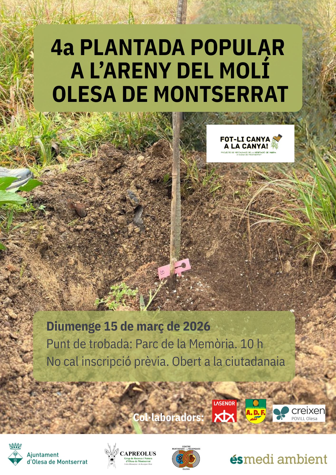 Cartell de la 4a Plantada Popular a l'Areny del Molí