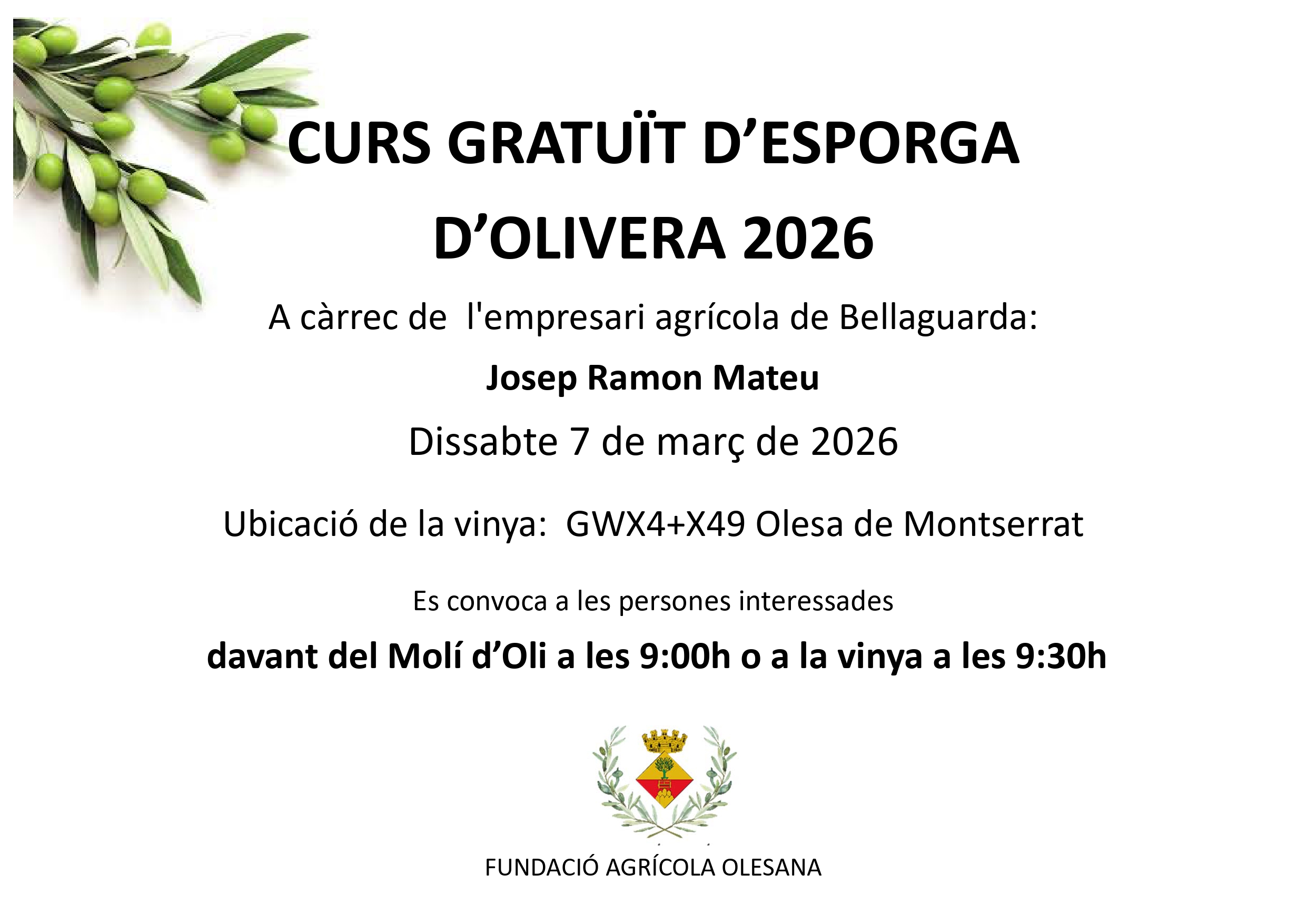 Curs d'esporga d'olivera gratuït 2026.
