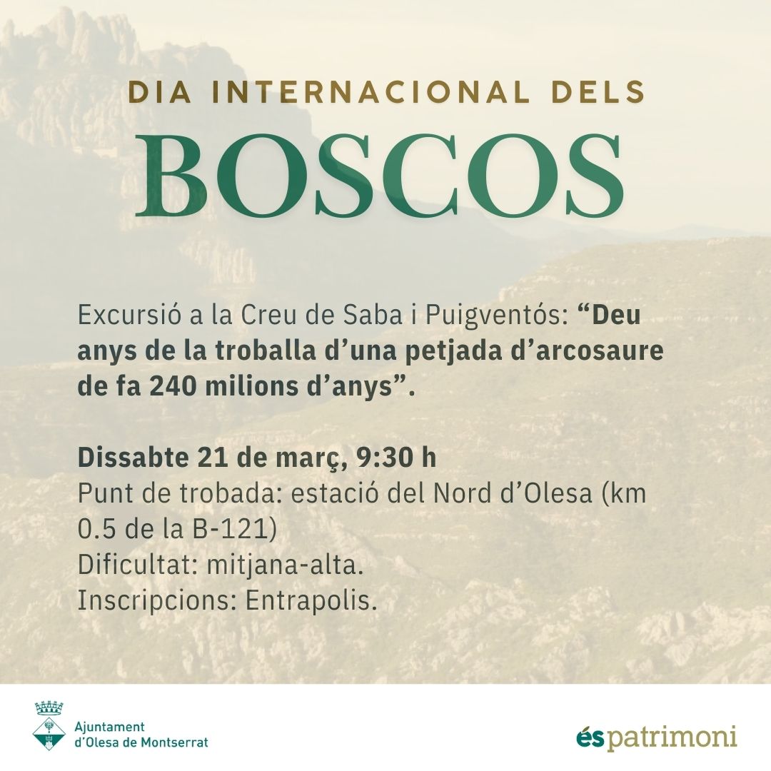 Cartell excursió Creu de Saba i Puigventós. 