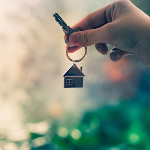 Imatge bo lloguer jove