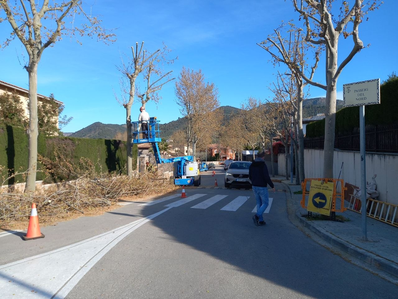 Foto_treballs d'esporga 2026