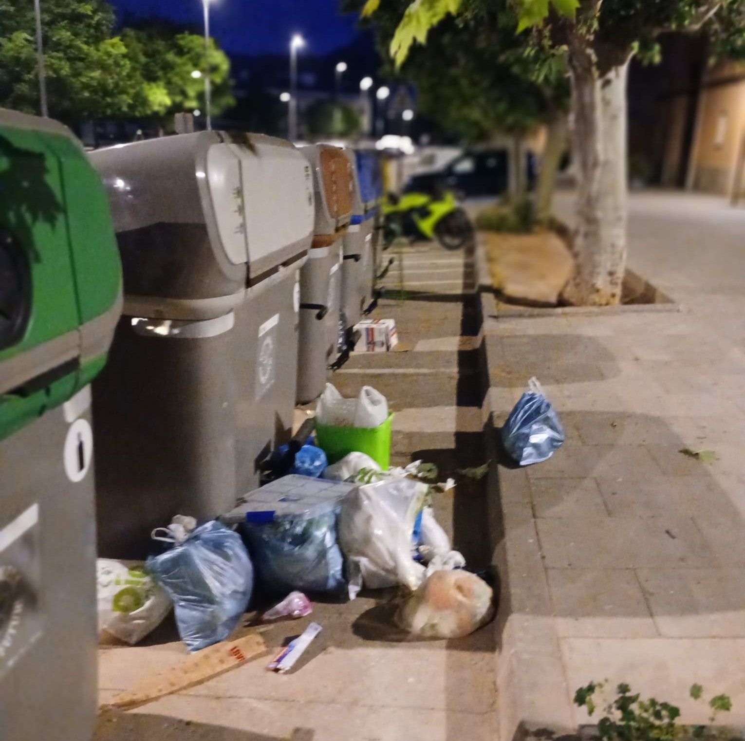 Foto_brossa deixada fora dels contenidors
