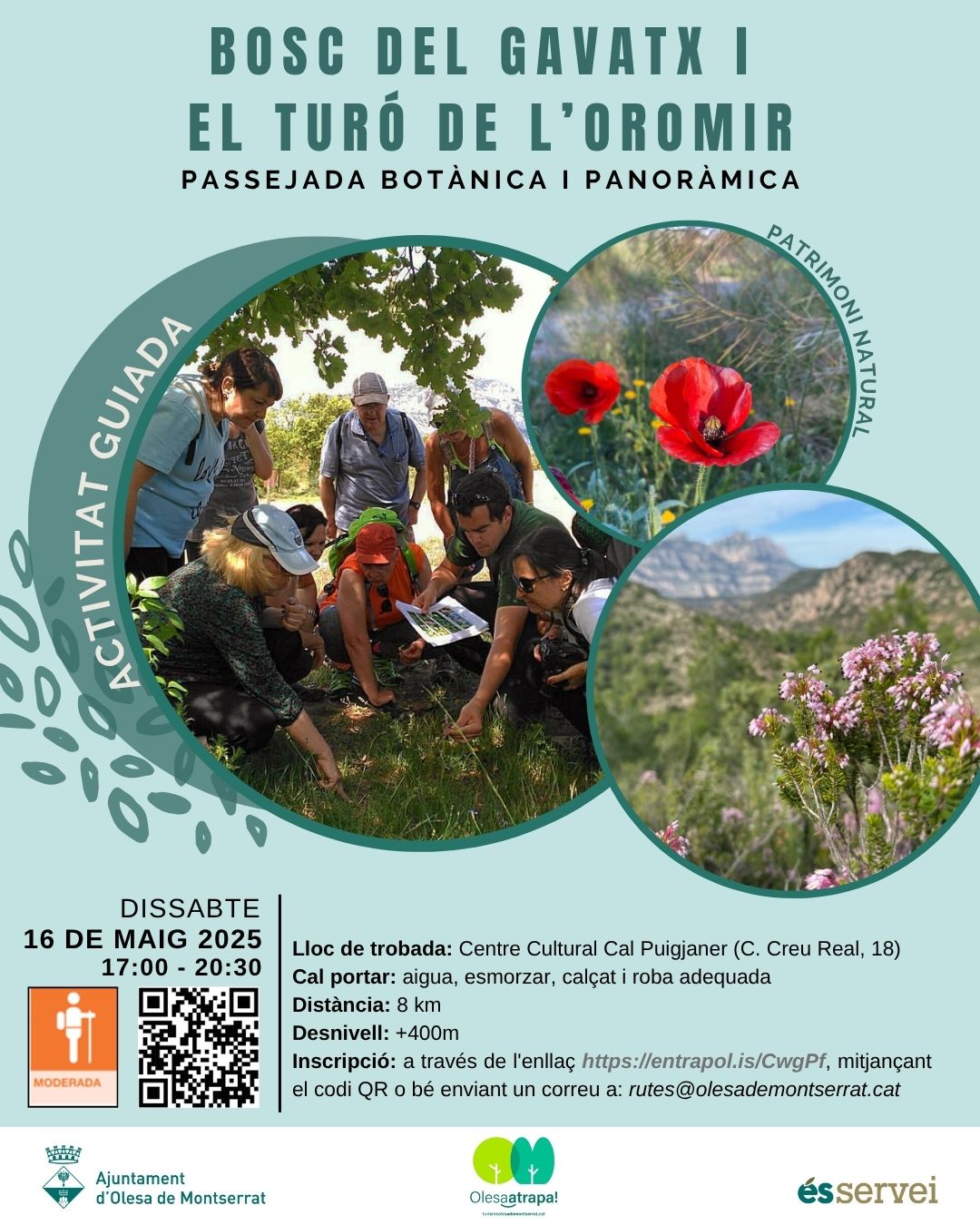 Cartell sortida guiada Bosc del Gavatx i el Turó de l'Oromir