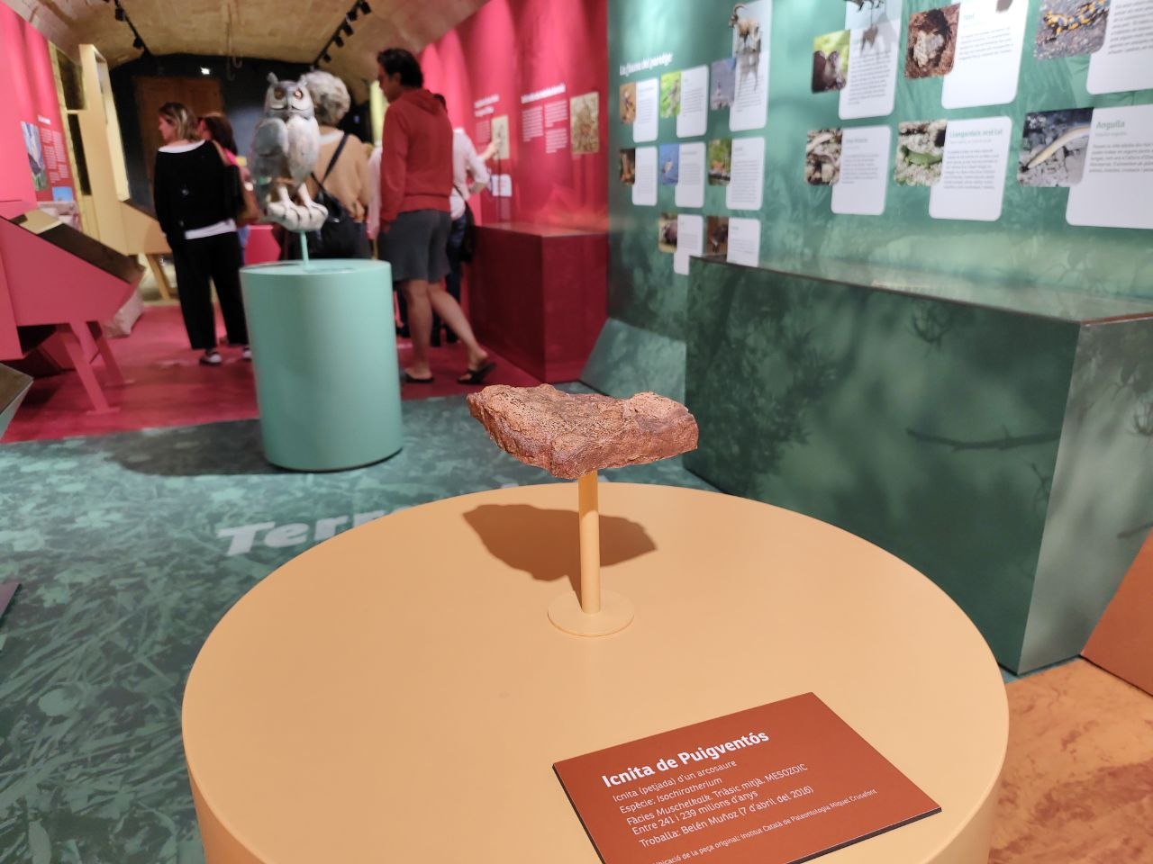 Foto_commemoració del Dia Internacional dels Museus_2026