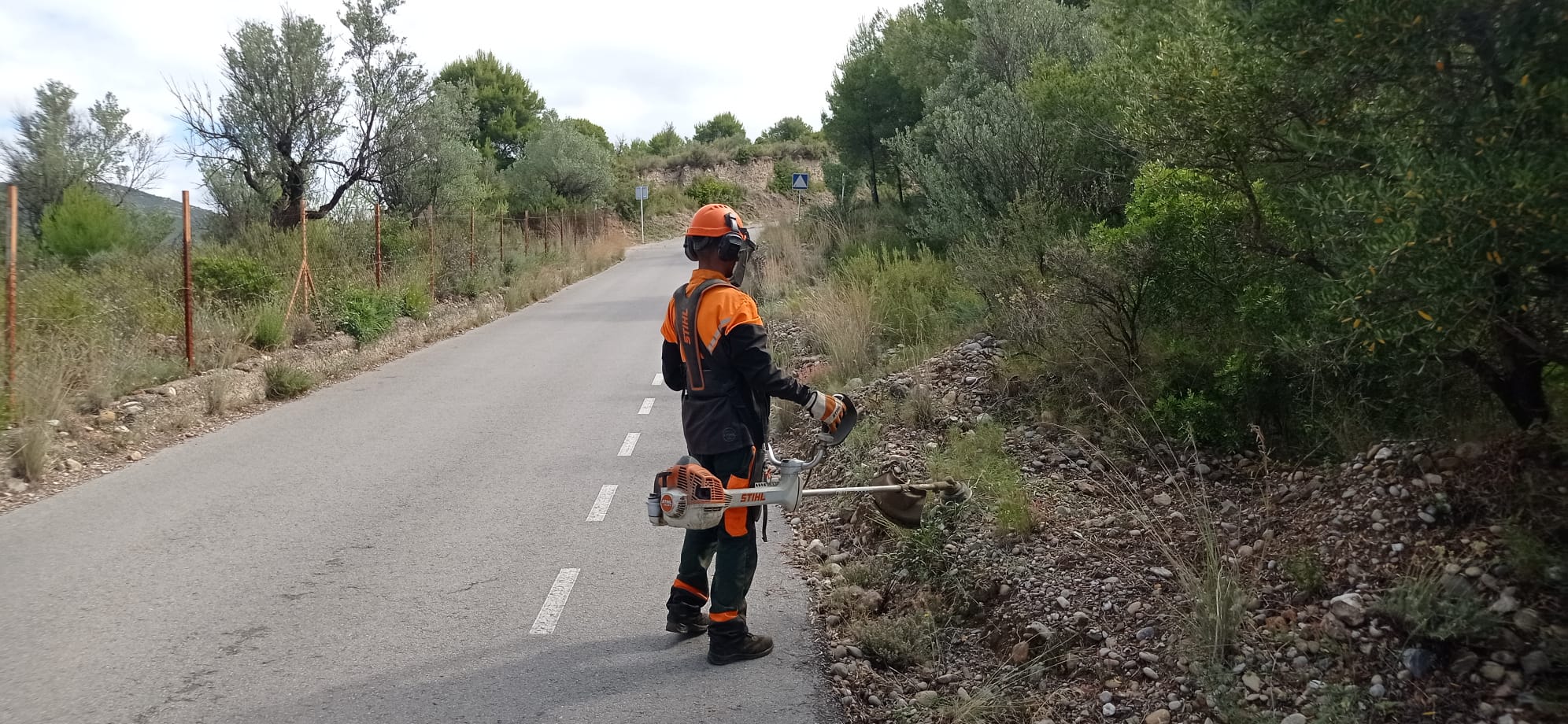 Foto_desbrossament de camins al terme d'Olesa_2026