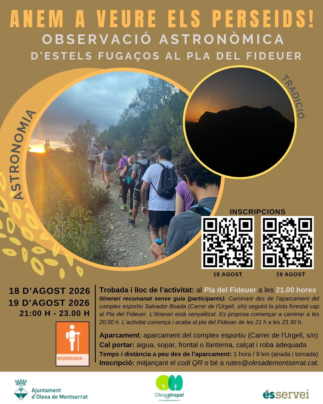 Cartell Anem a veure Els Perseids 2026