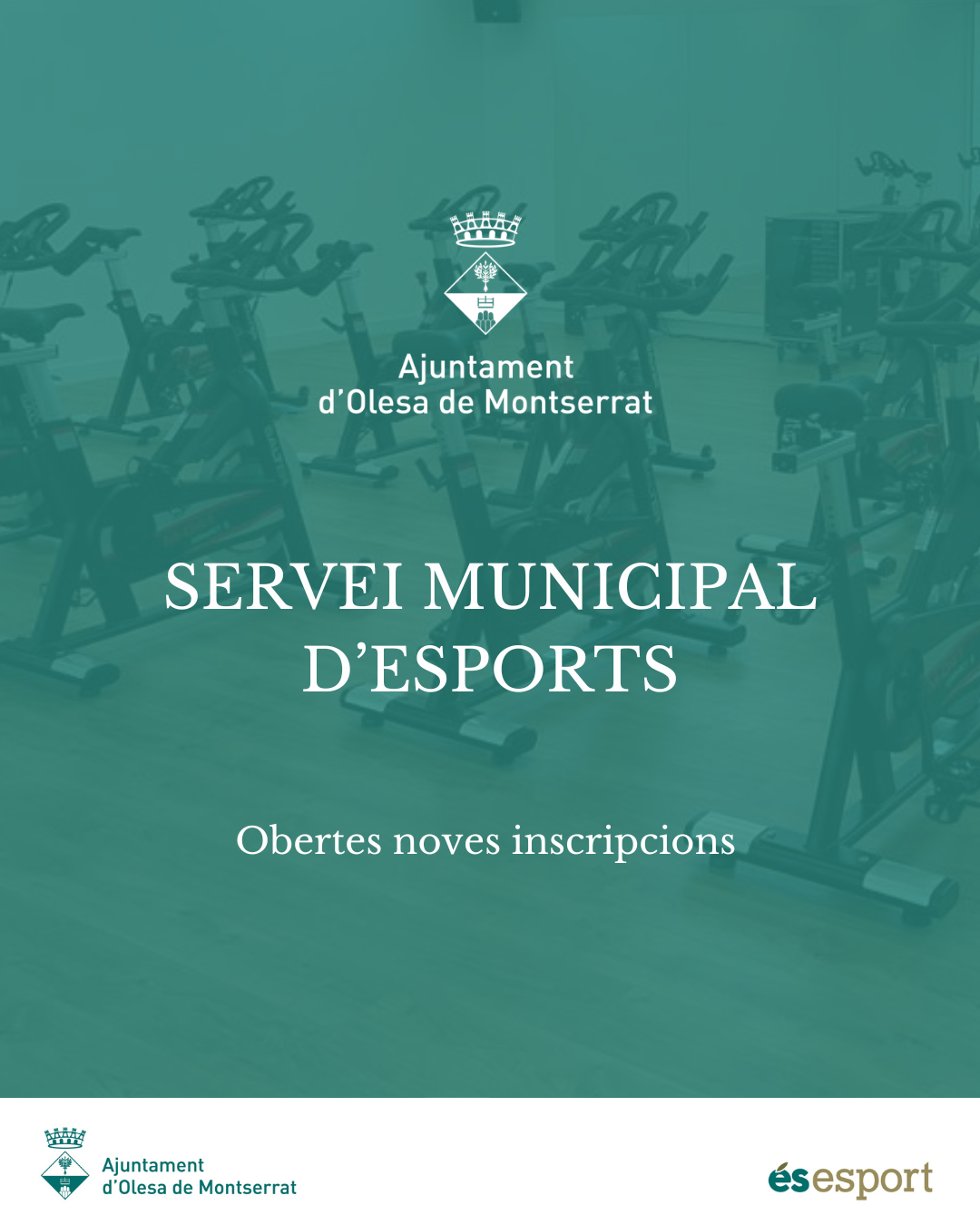 Servei Municipal d'Esports