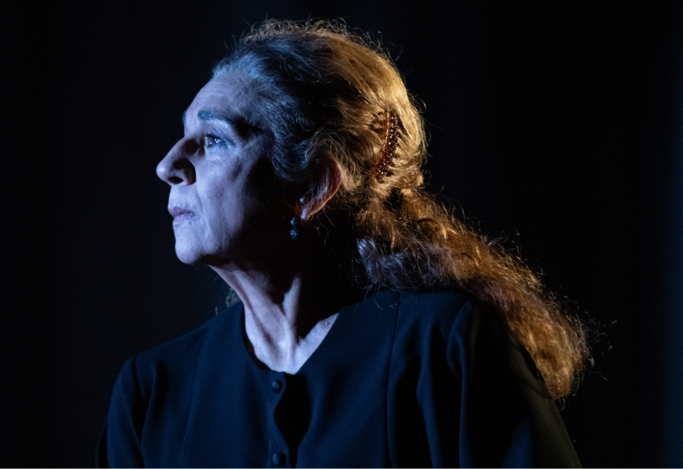 Imatge promocional de l'obra de dansa Poncia