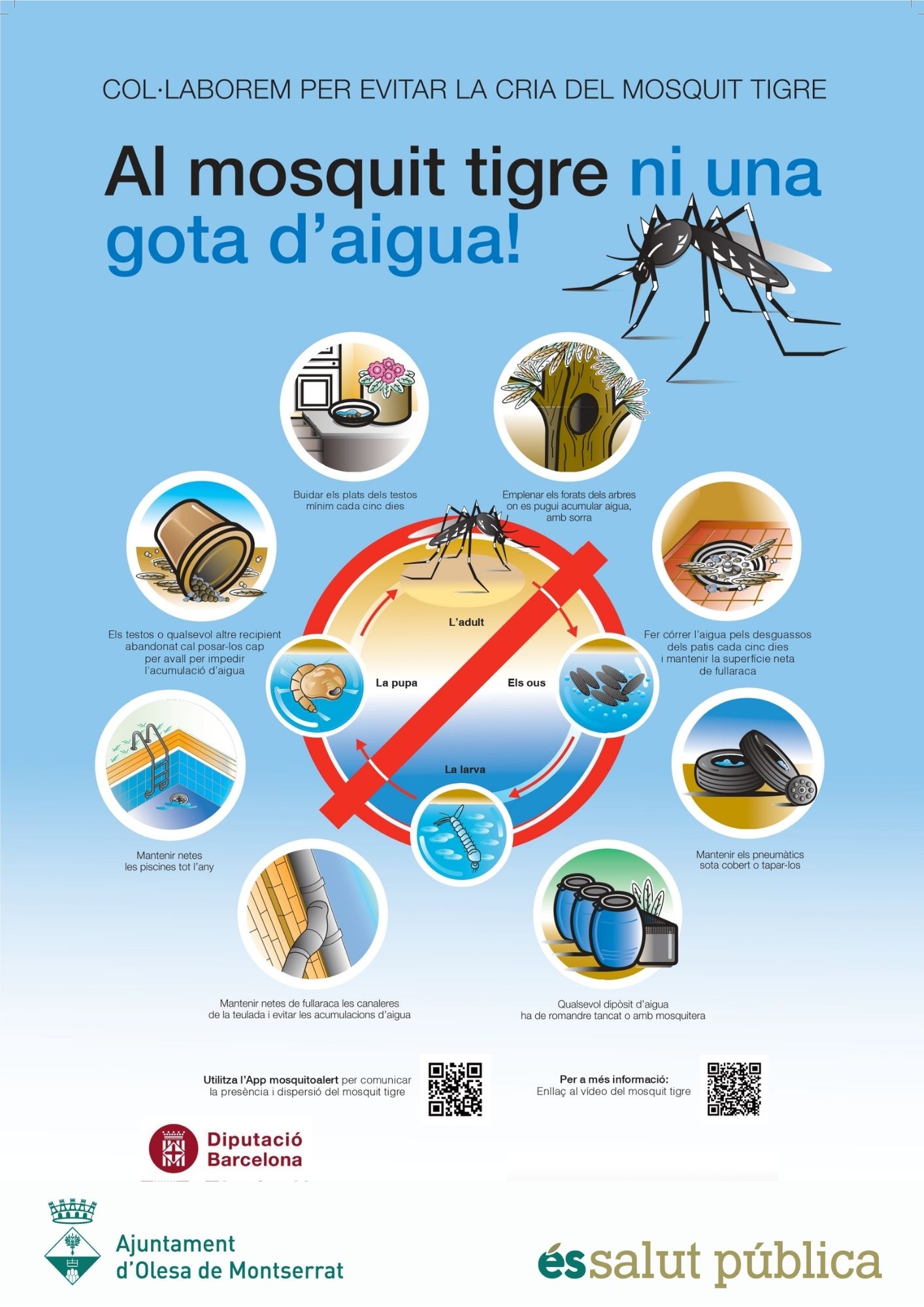 Recomanacions per evitar el mosquit tigre