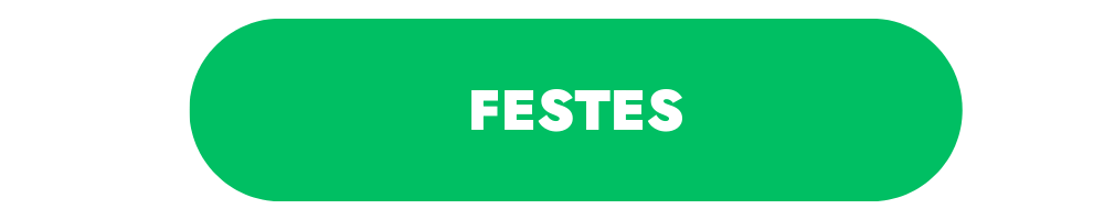 Baner Festes