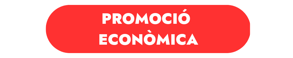 Baner Promoció econòmica